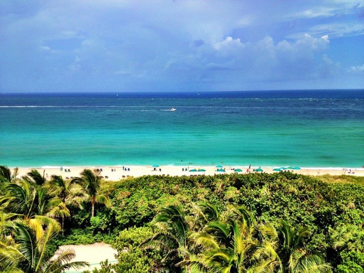 5 Star Charming Villa near West Palm Beach, West Palm Beach Villa 1115