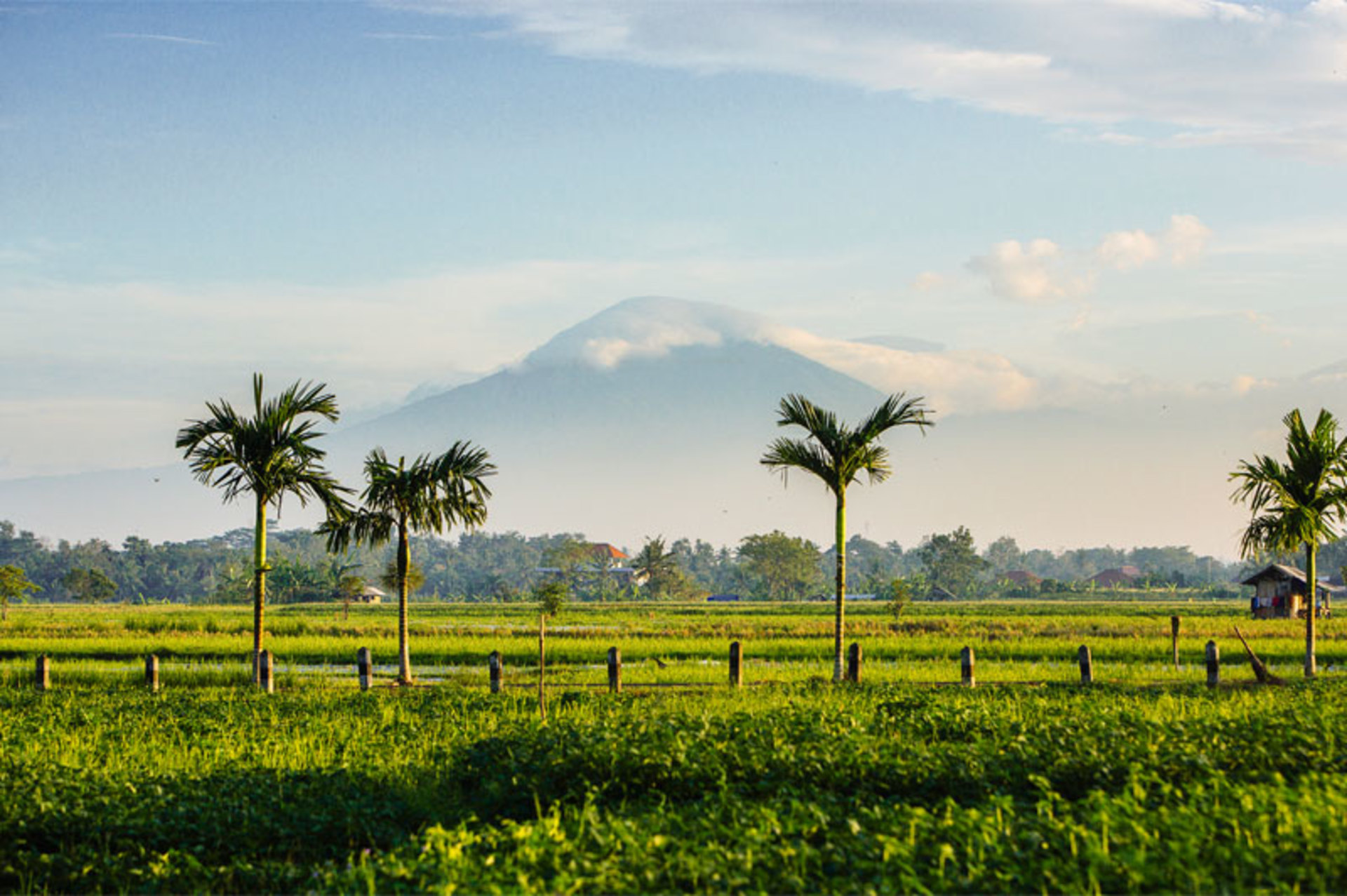 Secluded 5-Star Luxury by the Ocean – Bali Villa 1018