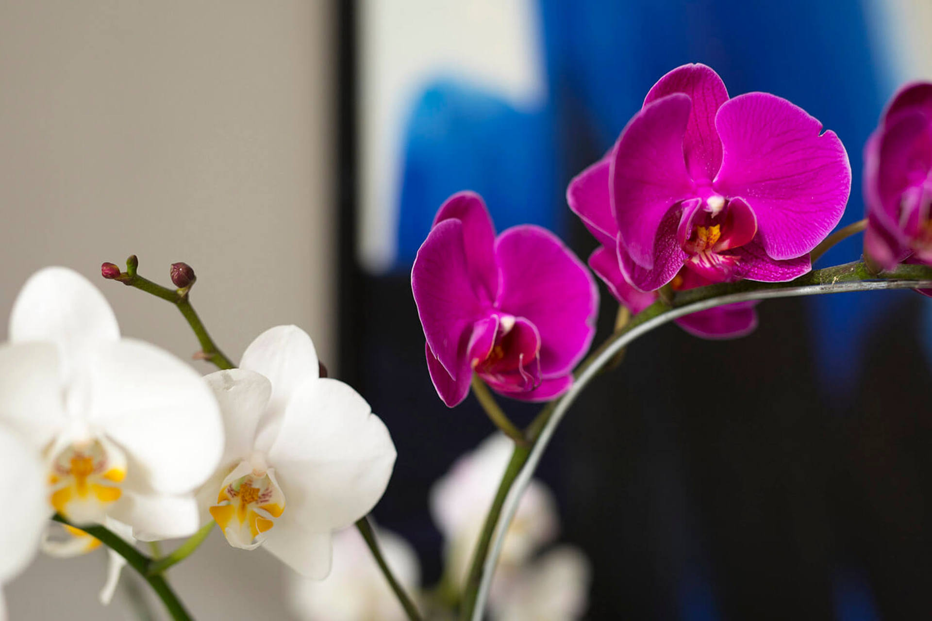 5 Star Villa in Bali, Minutes from the Beach, Bali Villa 1026