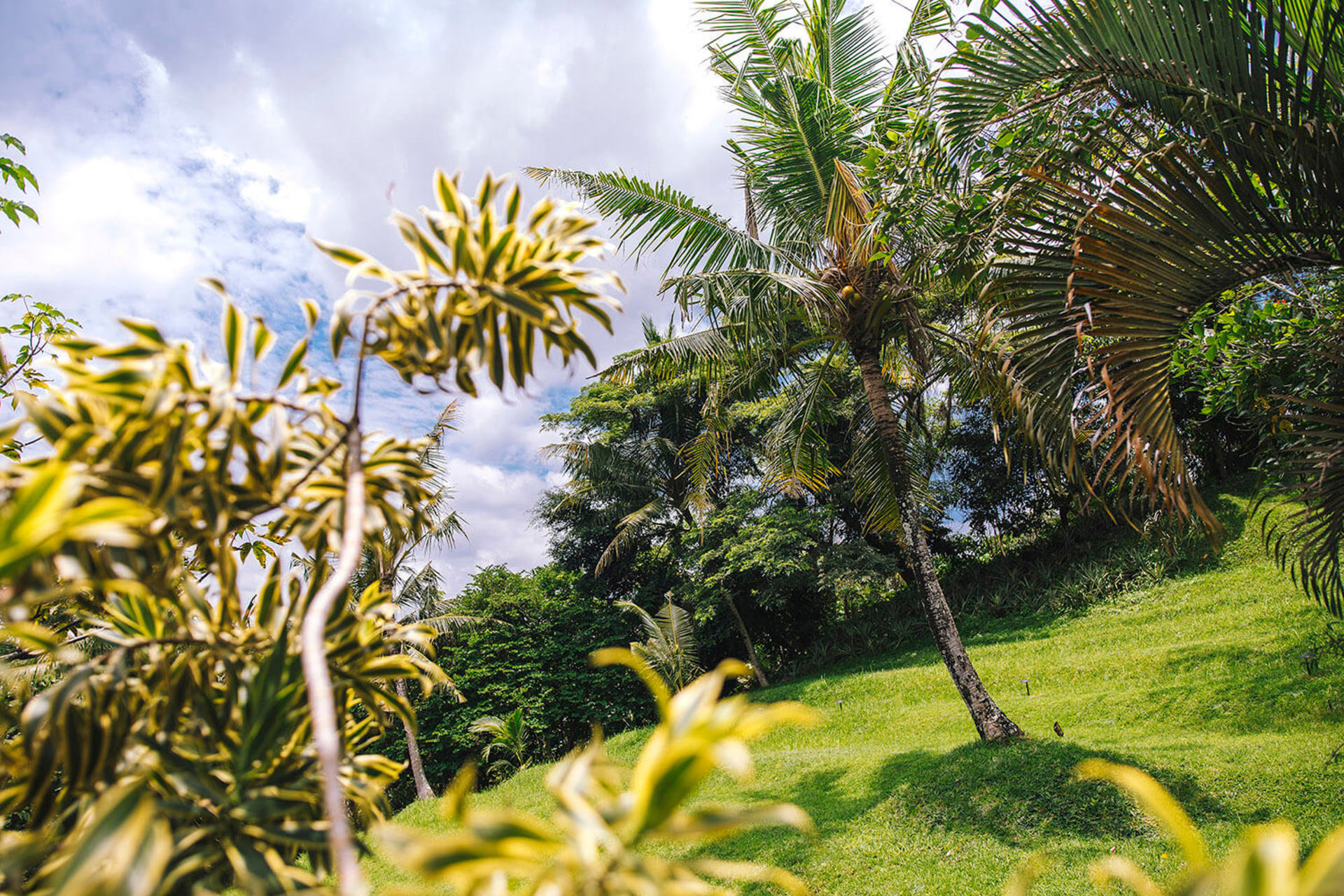 5 Star Villa in Bali, Minutes from the Beach, Bali Villa 1026