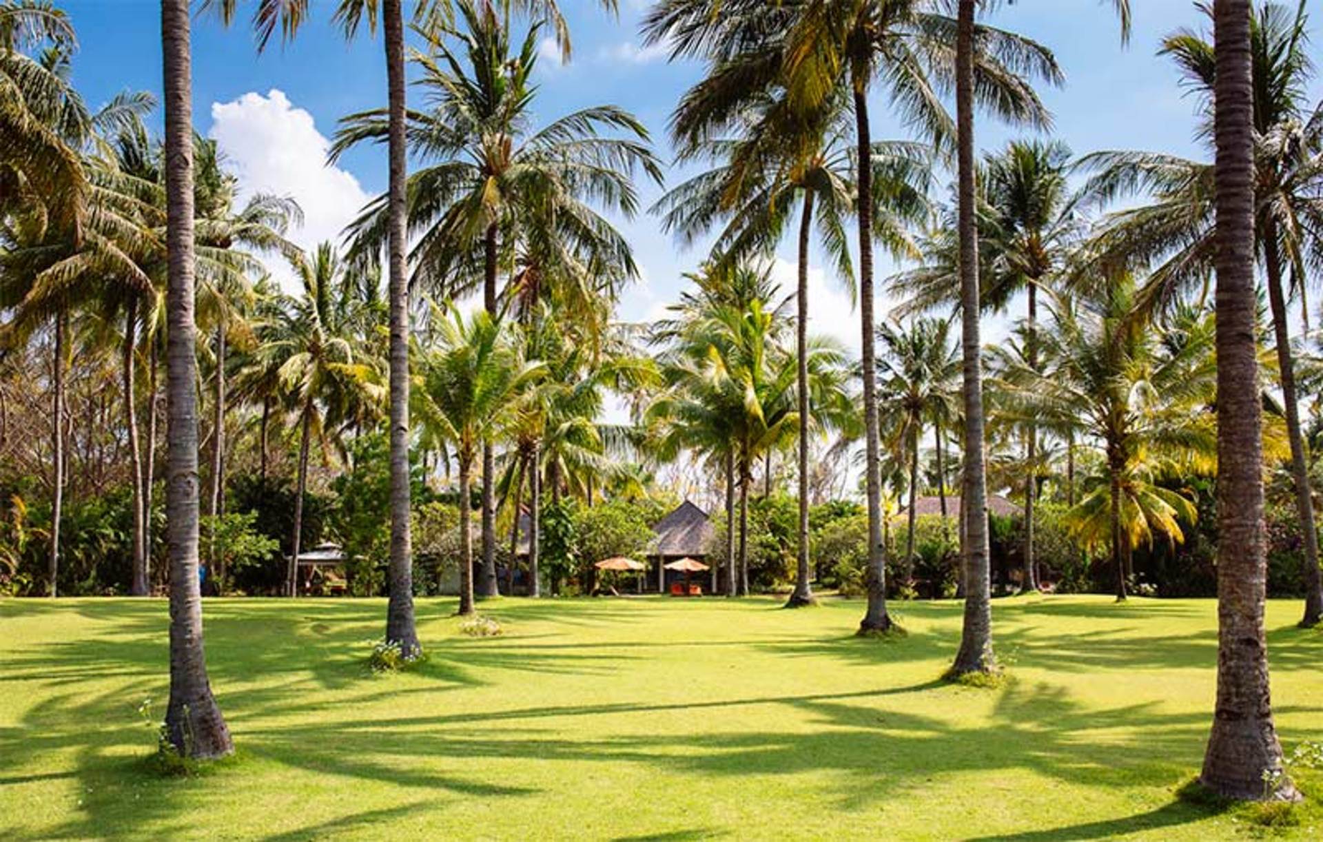 Luxury 4 Bedroom Villa with Private Pool, Lombok Villa 1134