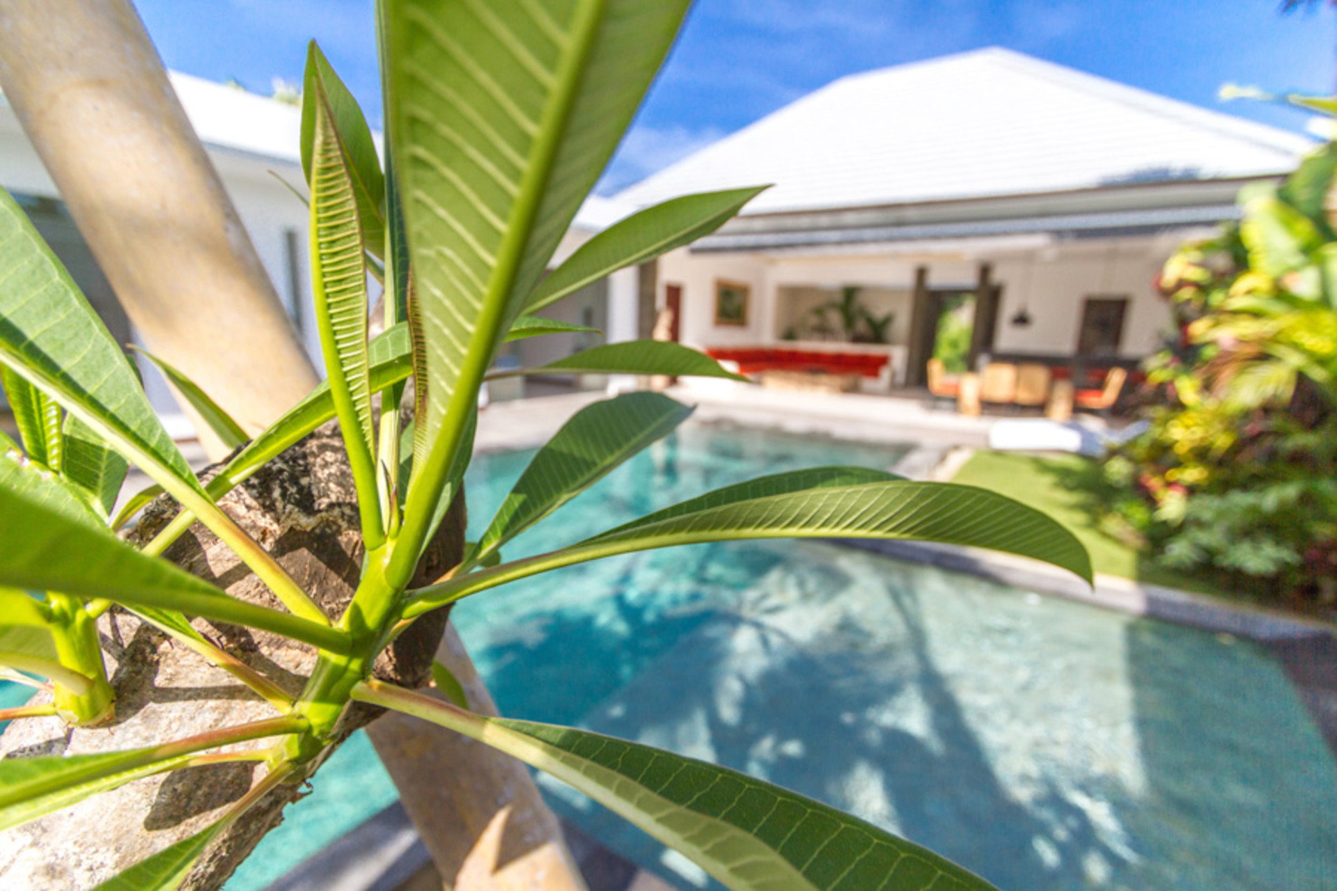 5 Star Private Villa in Seminyak at an Affordable Rate, Bali Villa 1155