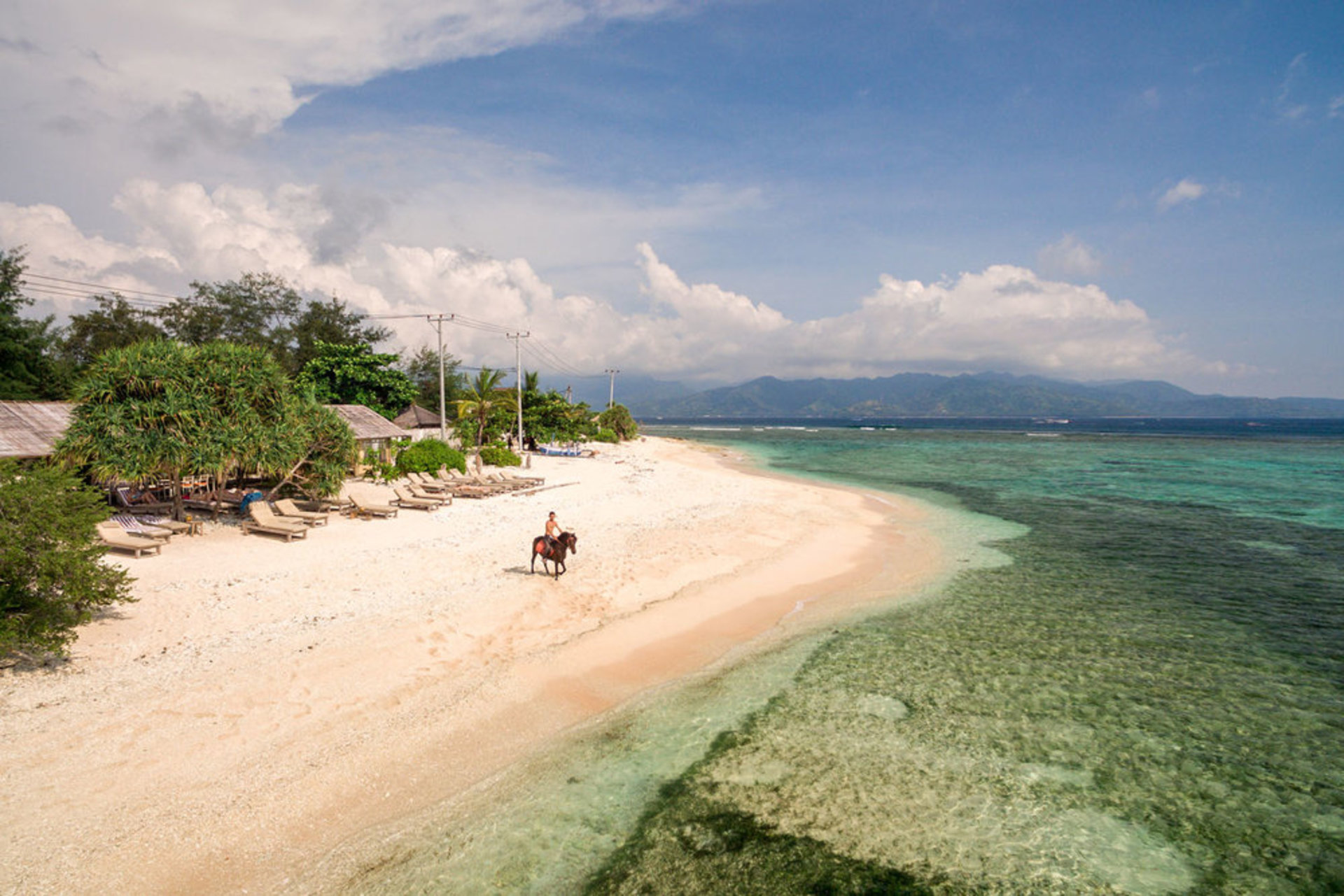 Exclusive Holiday Villa with Pool and Staff, Bali Villa 1156