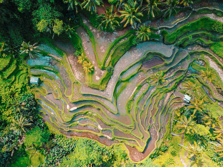 Beautiful 5 Star Holiday Villa in a Prime Location in Seminyak, Book Early to Secure Your Dates, Villa Bali 2016