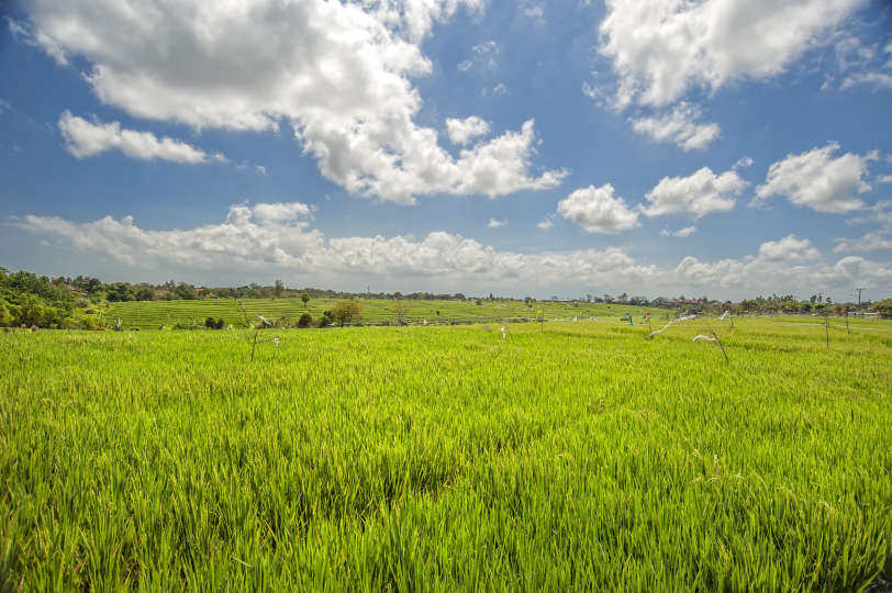 Rent a Luxury Villa in Bali Close to the Beach, Bali Villa 2054