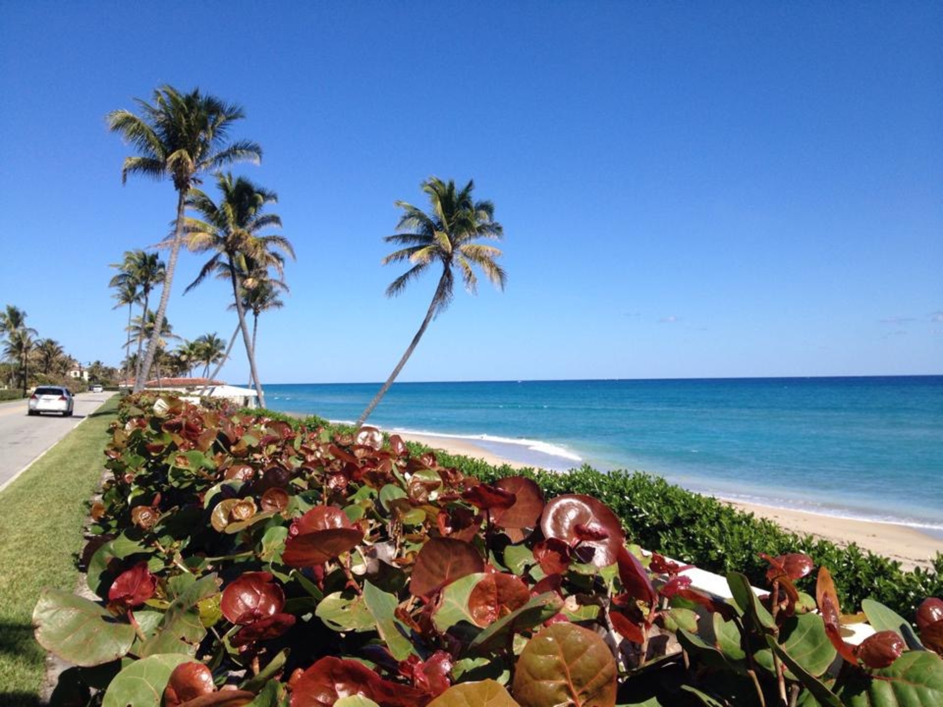 Stunning 2 Bedroom Apartment in Prime location on Palm Beach, West Palm Beach Apartment 1853