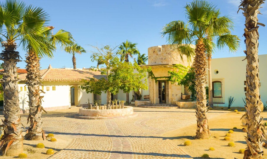 Your Dream Beach Getaway Awaits, San Jose Del Cabo 1022