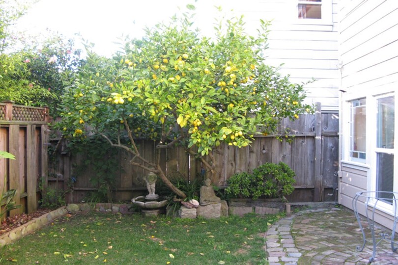 Beautiful Home in Prime Location, San Francisco Apartment 1018