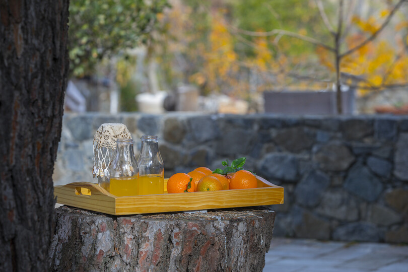 You and Your Family will Love this 5 Star Villa with Forest Views, Limassol Villa 1001