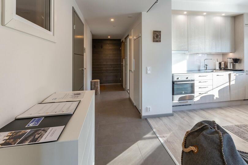 Stylish Alpine Retreat, Lapland Apartment 1002