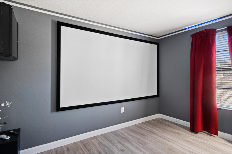 Theater Room 120" screen