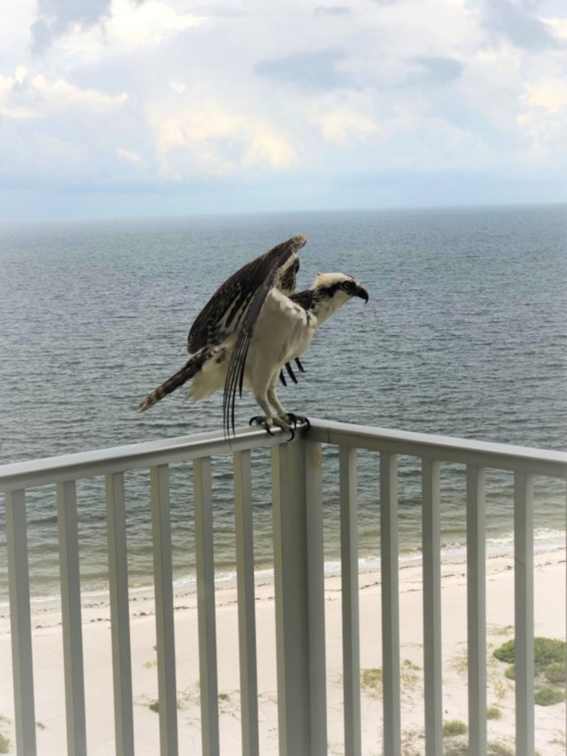5 Star Condo in one of the most Prestigious Areas in Estero Beach & Tennis, Florida Condo 5946