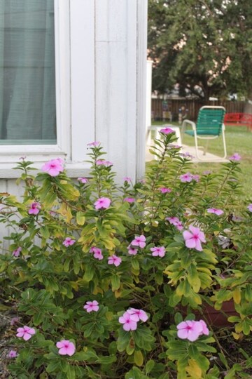 Exclusive  Cottage in One of most Prestigious Resorts, Collier County, Florida  Cottage 4062