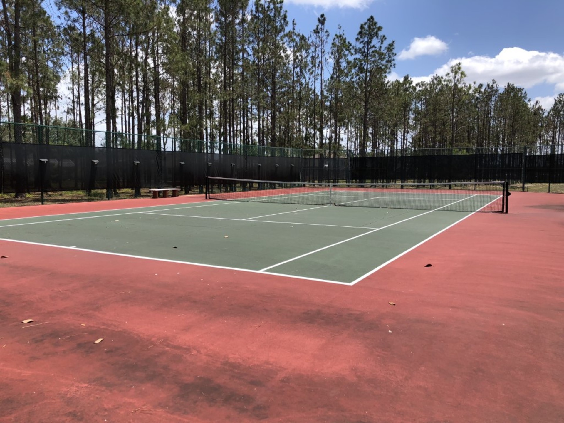 Luxury Florida Villa with Fantastic Private Pool on Highlands Reserve Resort, Florida Villa 6184