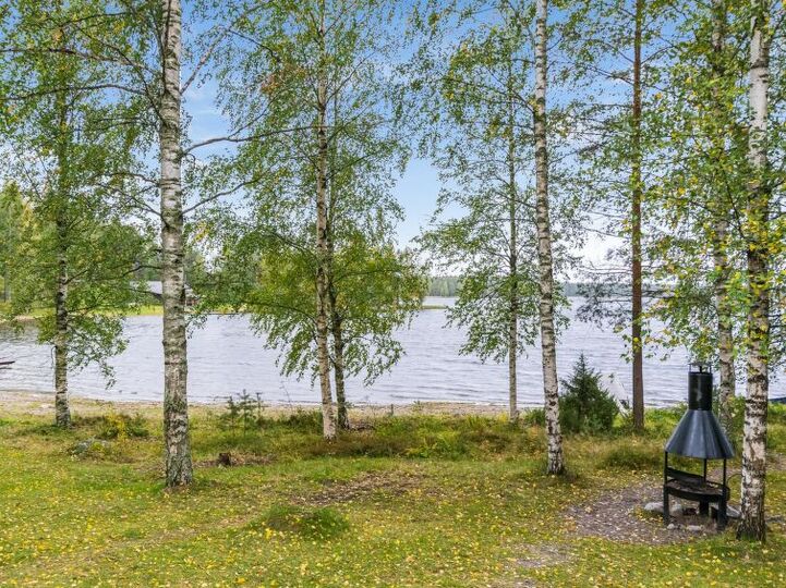 Perfect Family Retreat, Punkaharju 1102