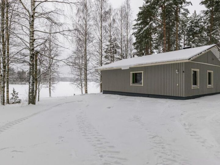 Perfect Family Retreat, Punkaharju 1102