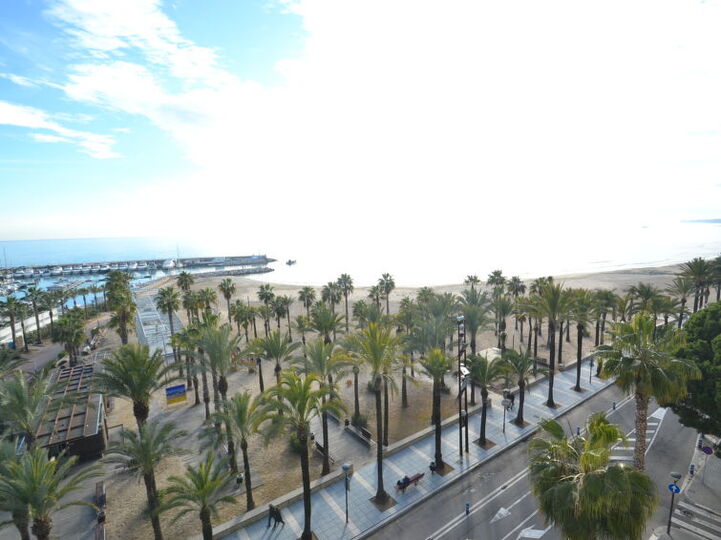 View