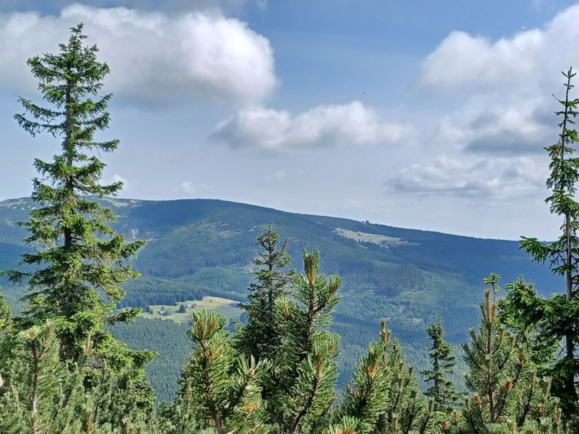 View