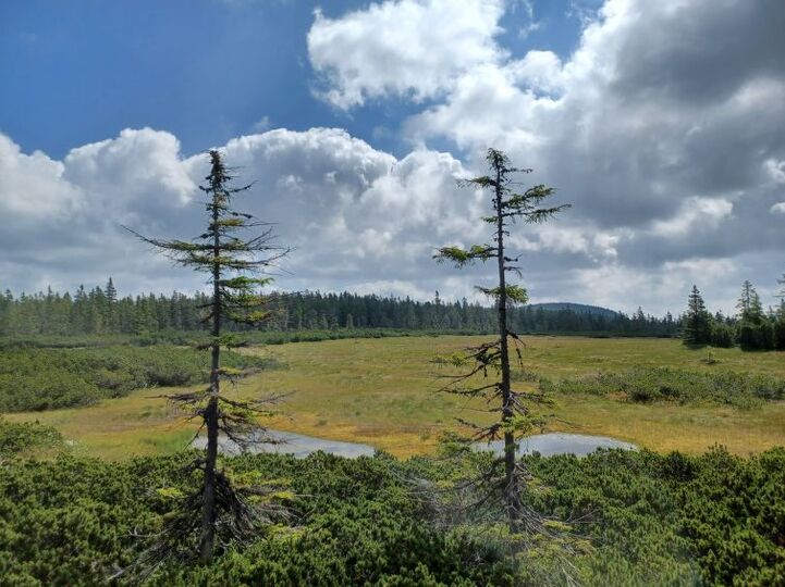 Place