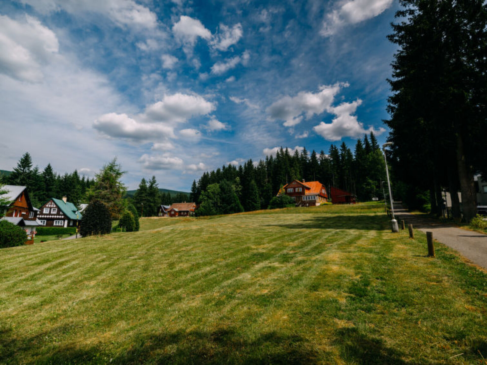 View