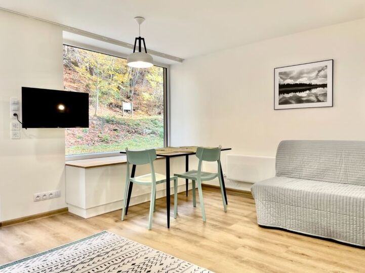 Charming 1BR Villa with Stunning Views,1001, Karlovarský kraj, Czech Republic