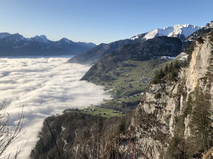 View