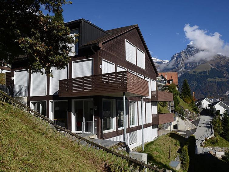 Elegant Oasis in Obwalden,1003