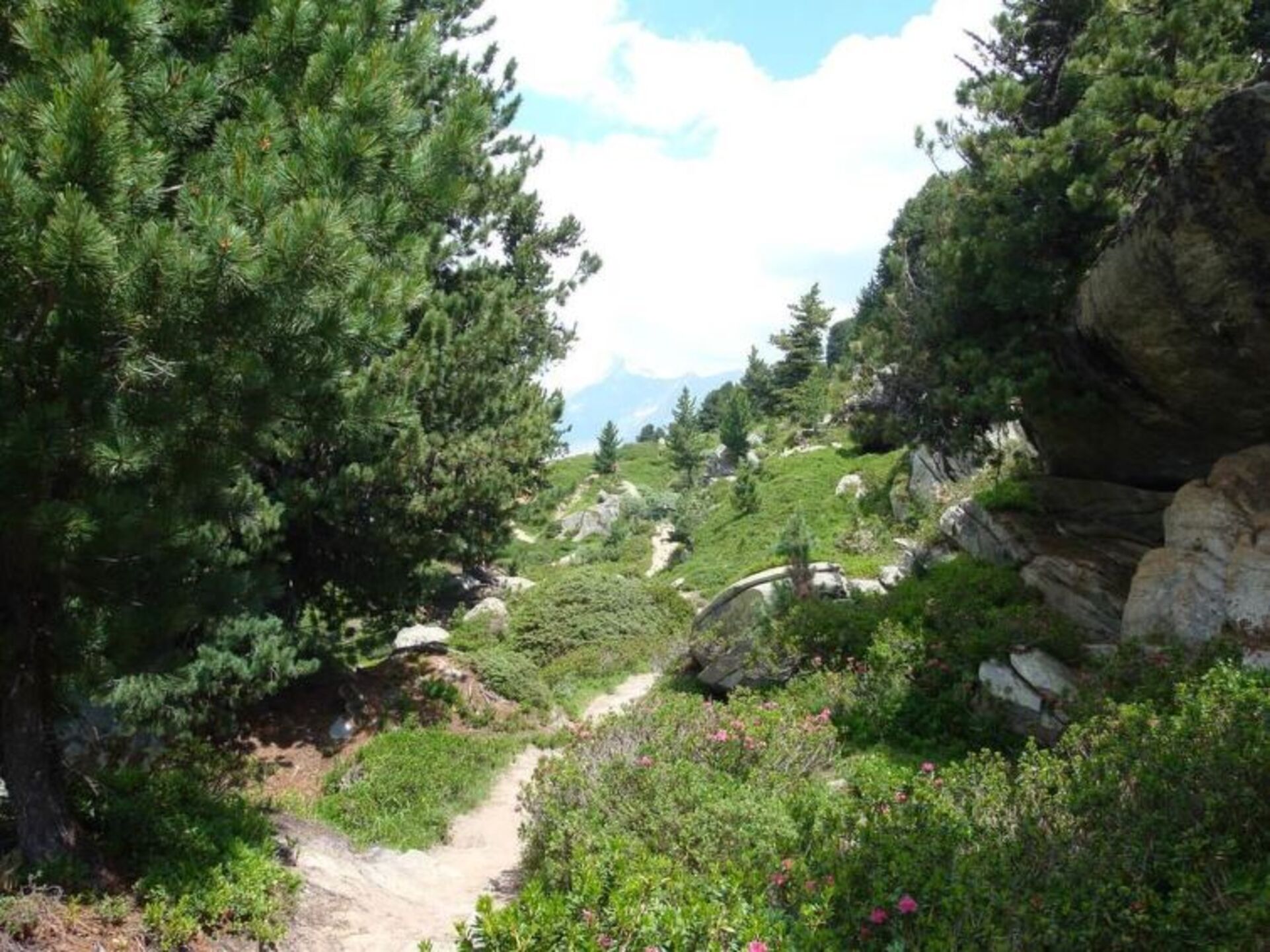 Peaceful Mountain Haven in Valais,1362