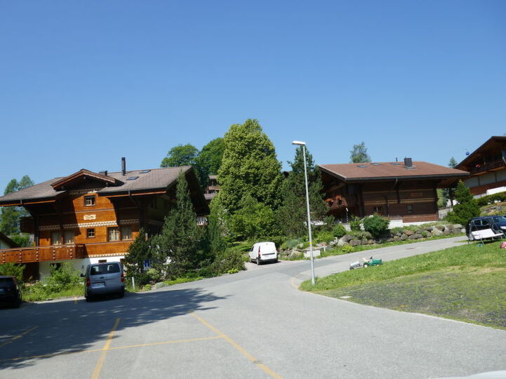 Secluded Gem in Grindelwald City, 1176