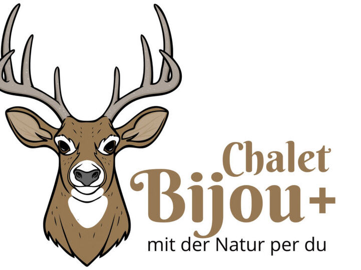 Cozy 2 Bedroom Villa in Lenk City, 1187