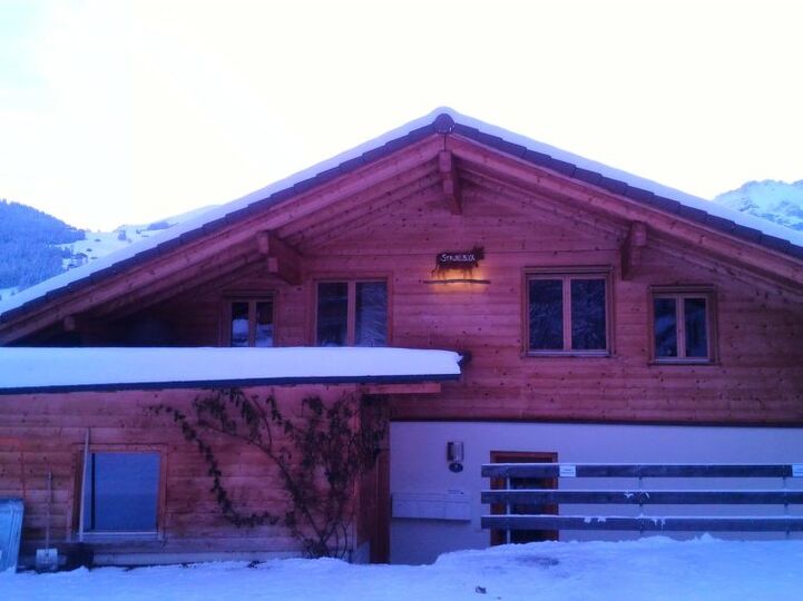 Unique 3 Bedroom Villa in Lenk, 1189