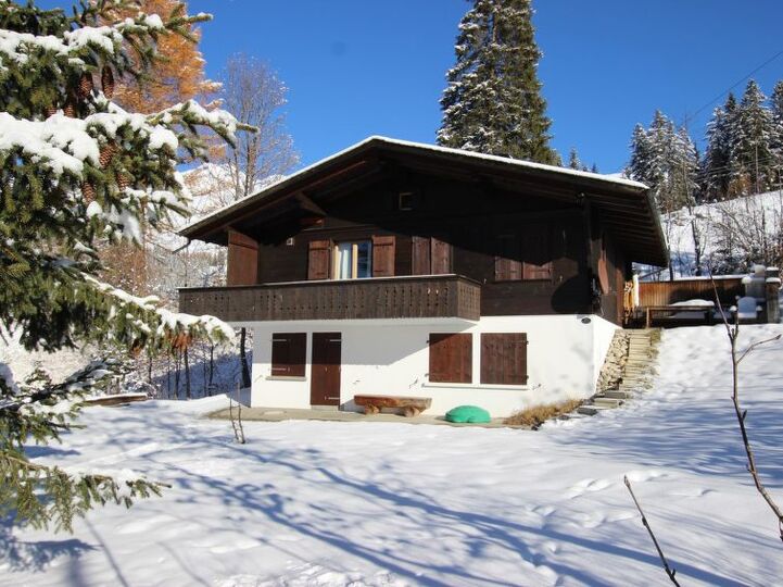 Elegant 4 Bedroom Villa in the Heart of Lenk, 1190