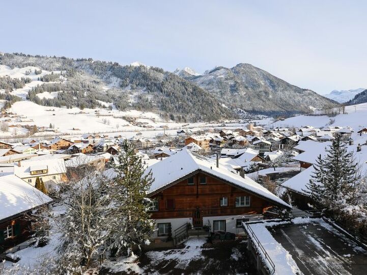 Cozy Haven in Zweisimmen City, 1194