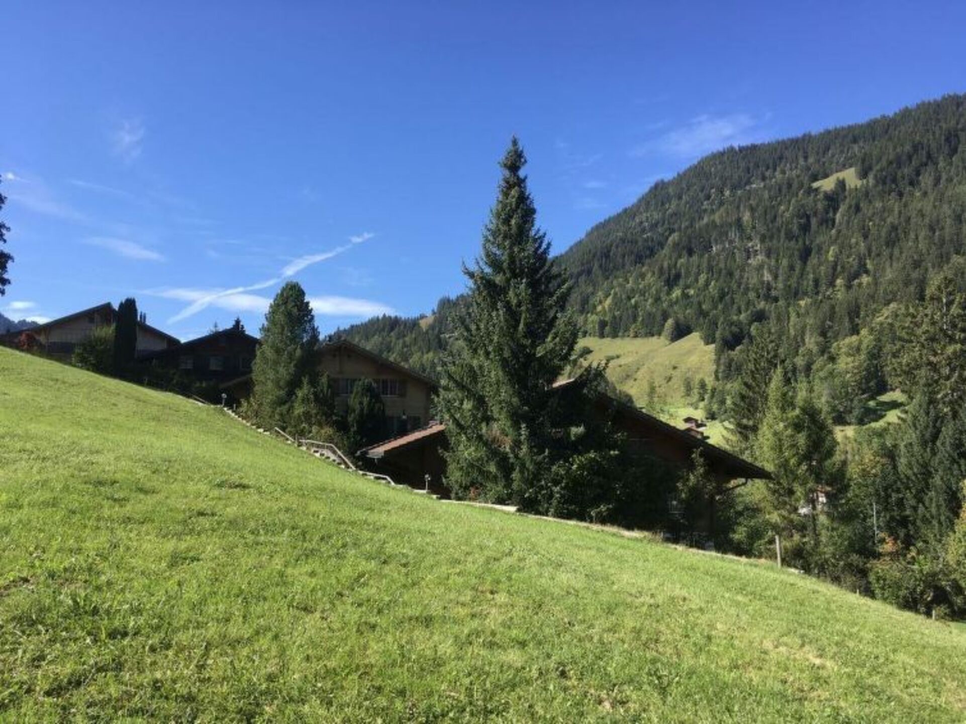 Elegant 2 Bedroom Villa in Zweisimmen, 1195