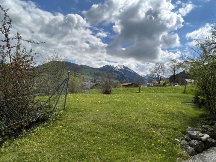 Private Oasis in Zweisimmen 1196