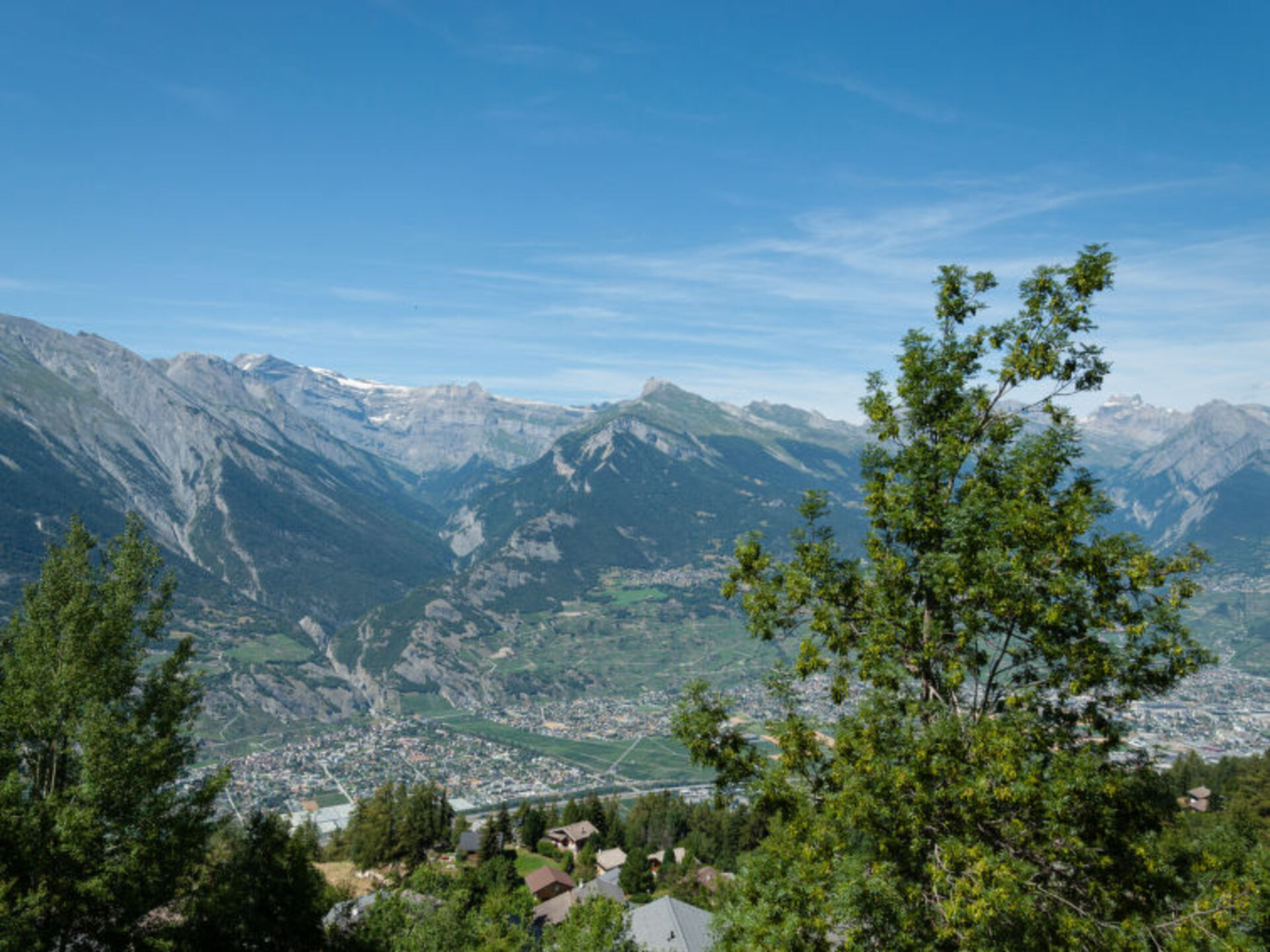 View