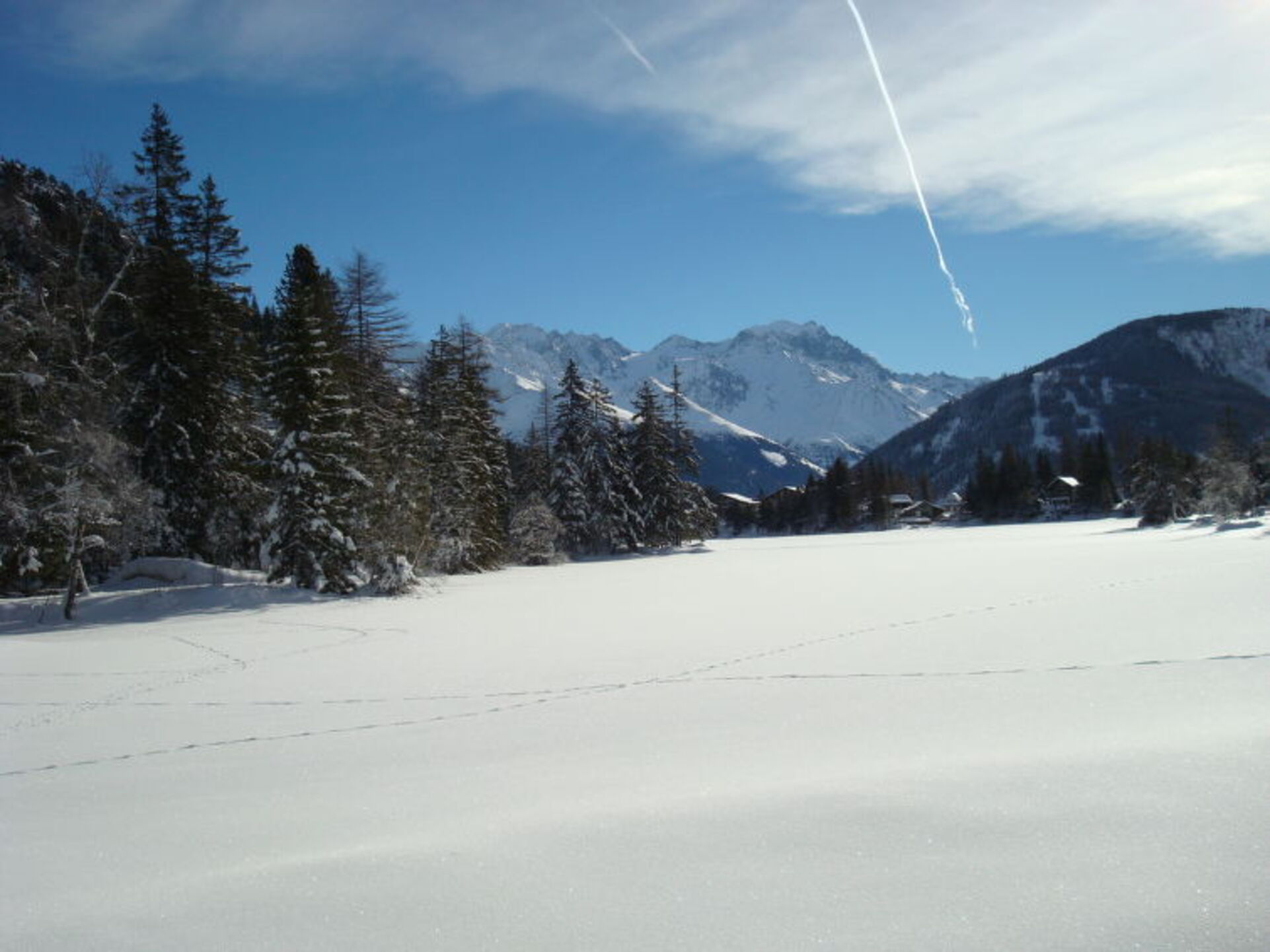 View