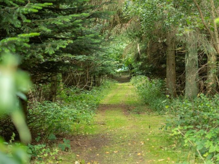 Place
