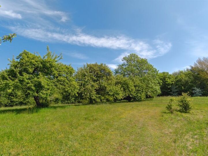 Place