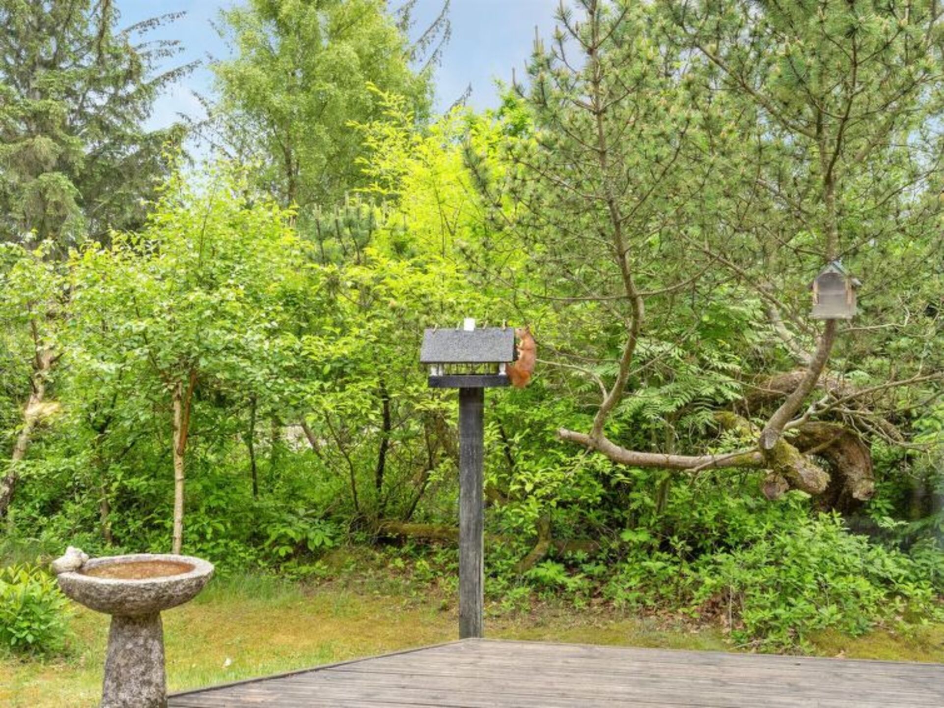 Outdoor