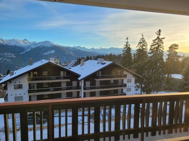 View