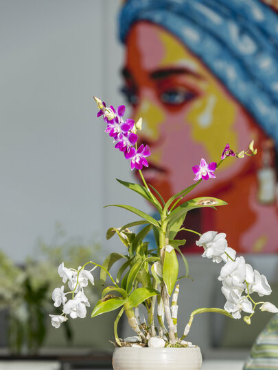 Malaiwana Penthouse - Flower decor
