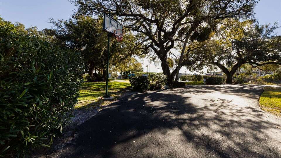 Basketball Hoop