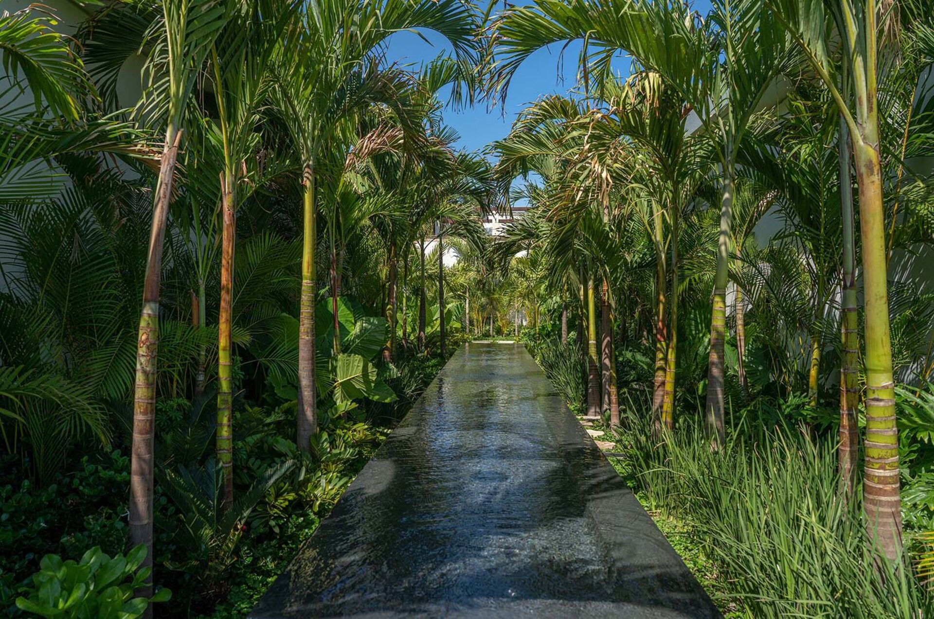 5 Star Villa Cabo San Jose 1048 - Luxury Coastal Paradise