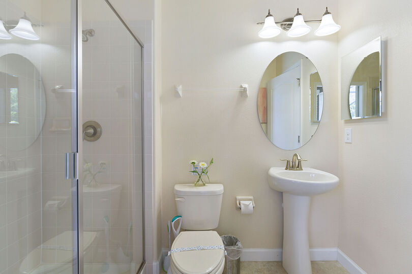 Another in-home bathroom with a sleek design and walk in shower