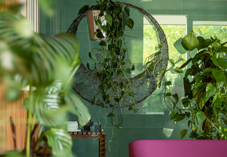 Escape to Paradise: Your Private Pool Awaits, Alma