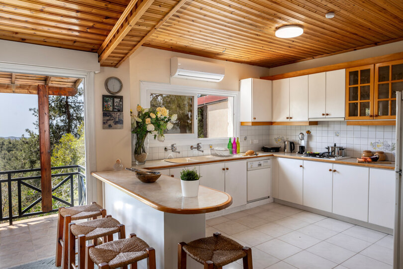 Cozy Retreat in Pano Platres, 1006