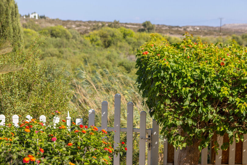Modern 4 Bedroom Villa Oasis in Ayia Napa, 1396