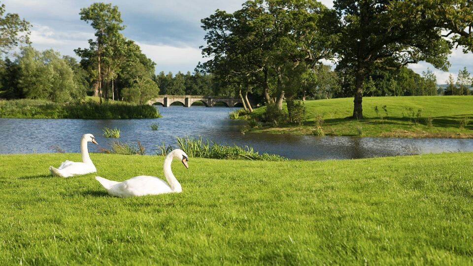 5 Star Luttrellstown Castle - Dublin’s Timeless Luxury Awaits