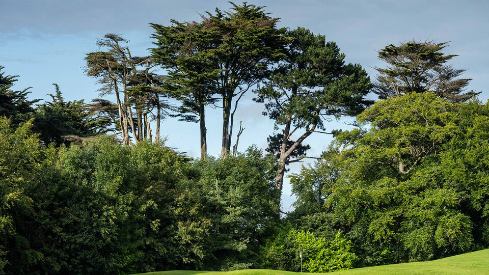 5 Star Luttrellstown Castle - Dublin’s Timeless Luxury Awaits